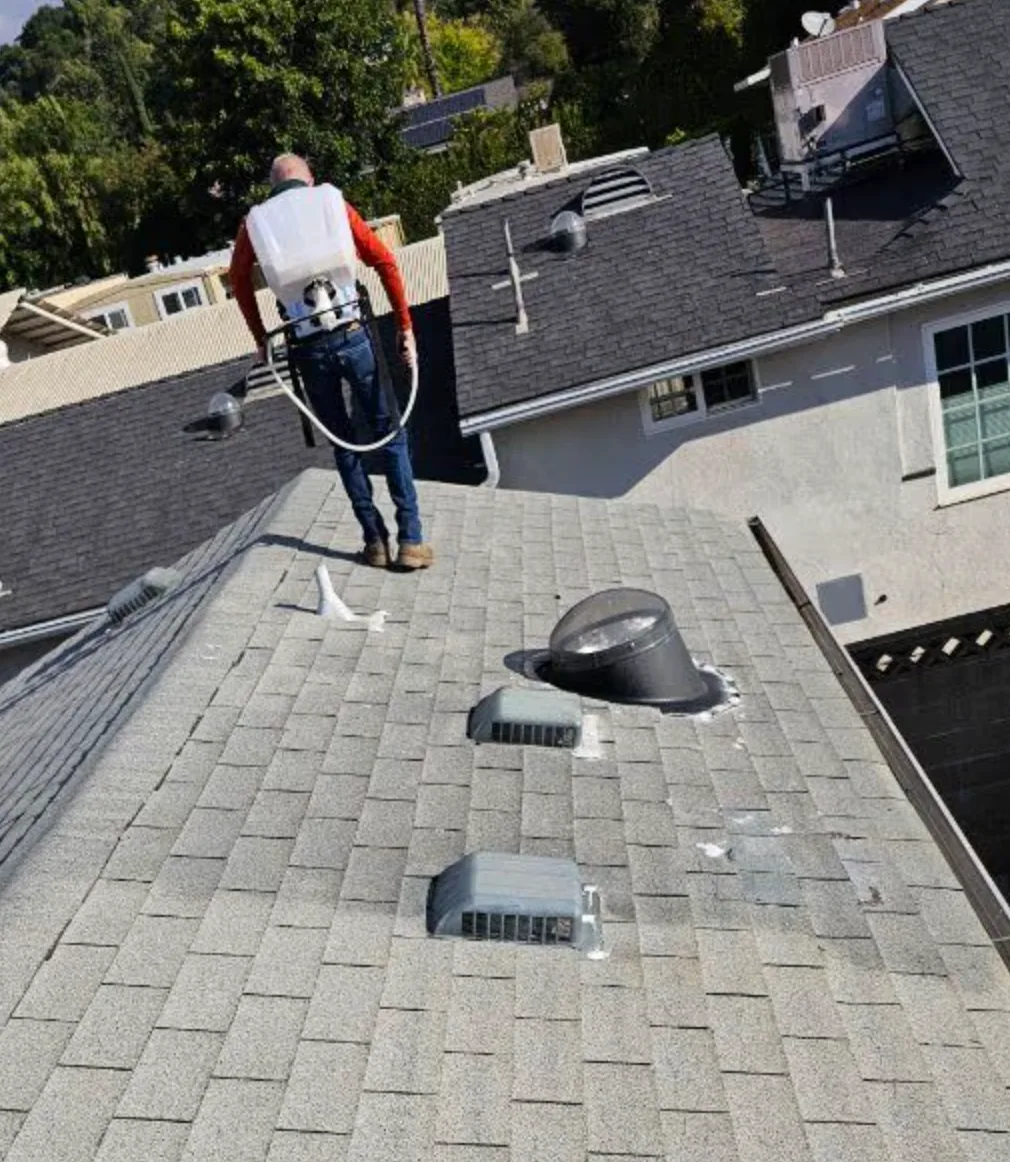 El Dorado Hills roof rejuvenation application