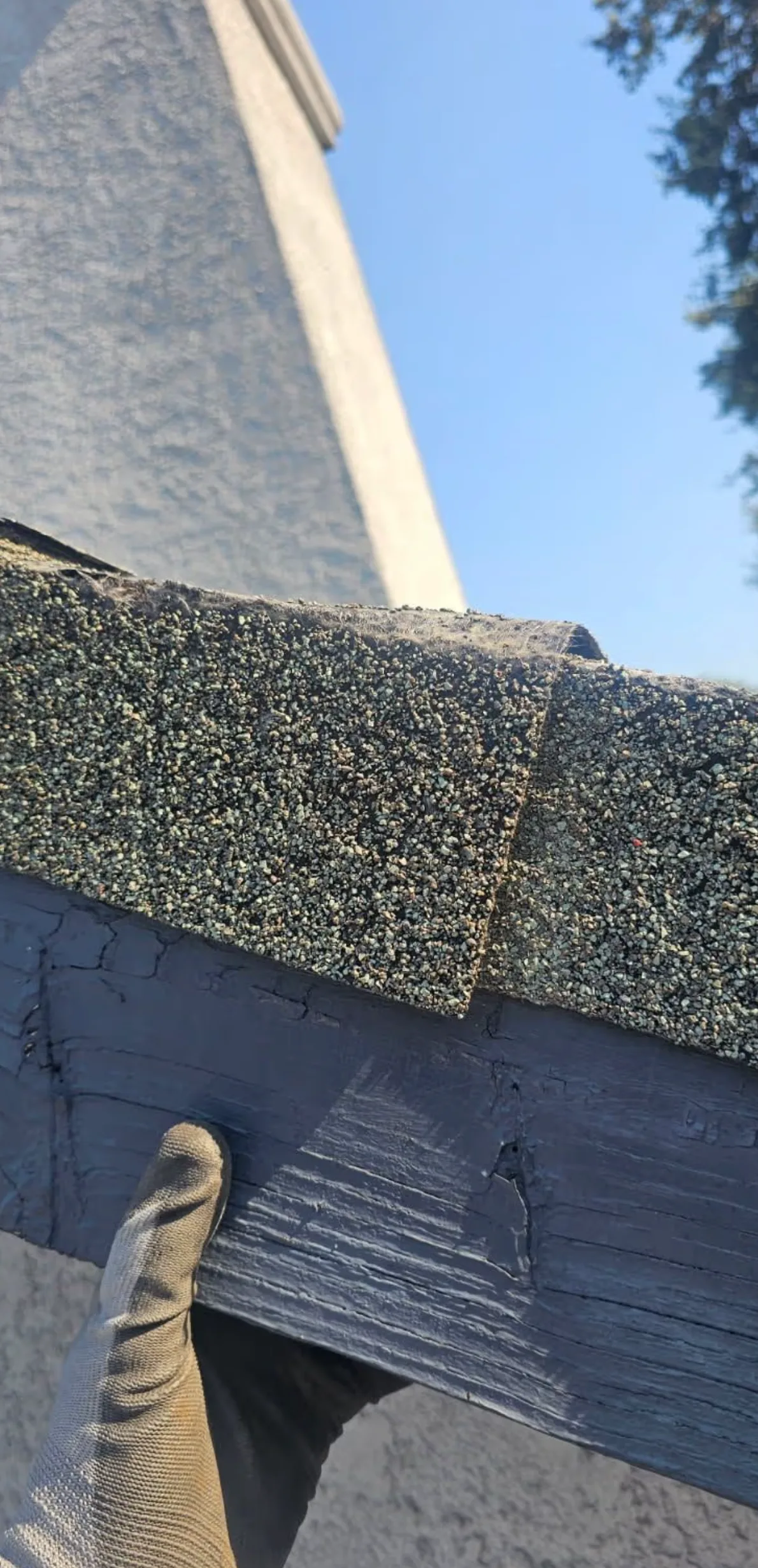 Peak 301 roof rejuvenation treatment on a Sacramento home
