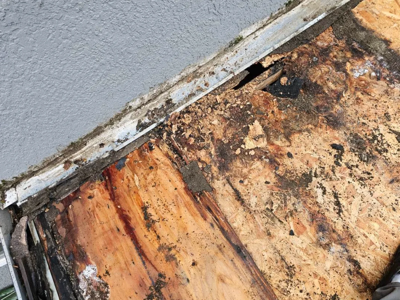 extent of the damage